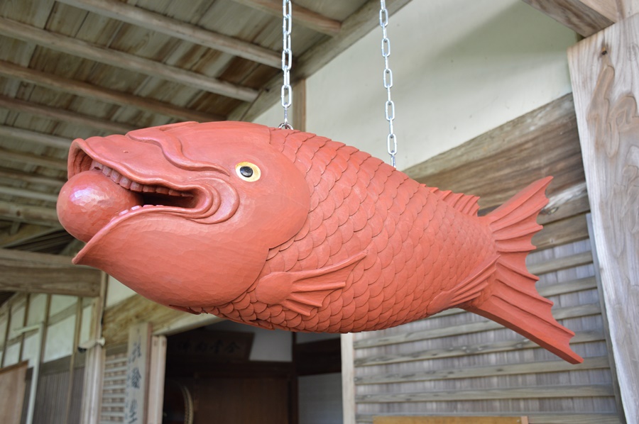 カイパン カイパン