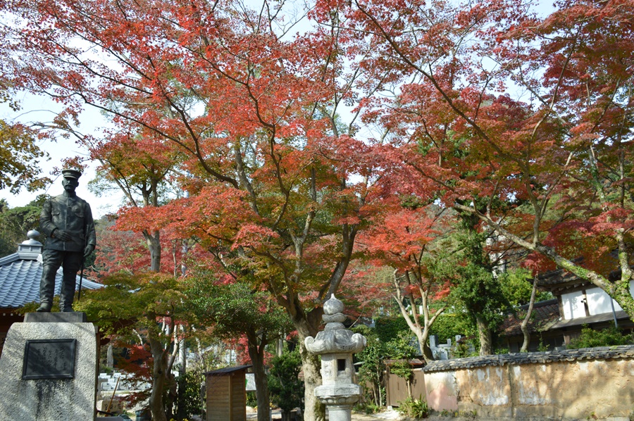 紅葉 紅葉