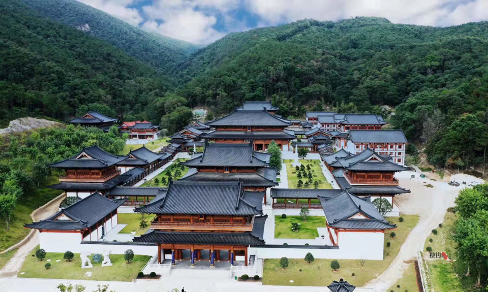 古黄檗 古黄檗