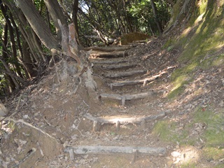 登山道 登山道